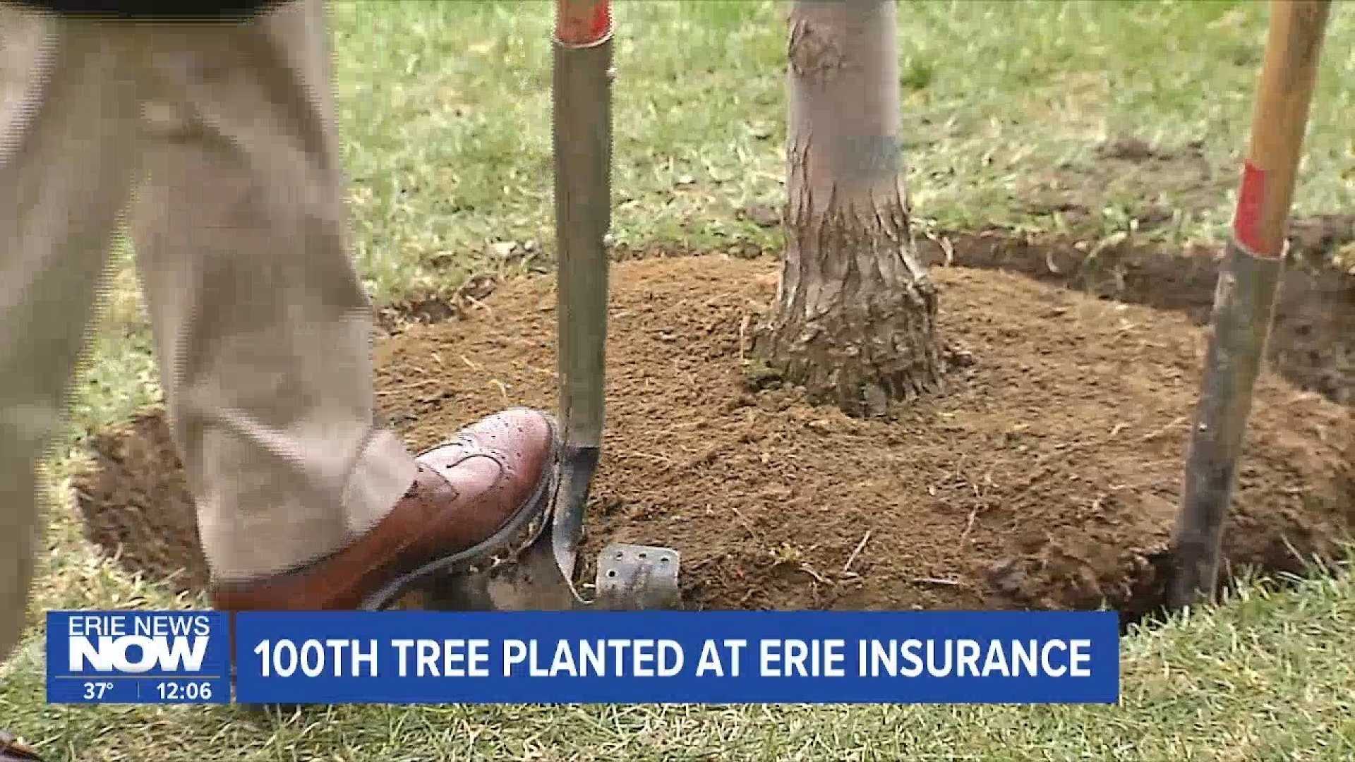 Erie Insurance 100th Tree Planting Event
