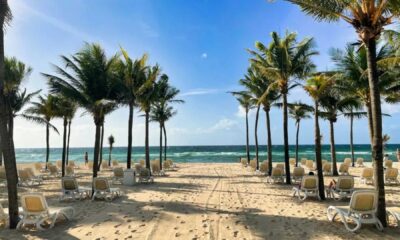 Fyre Festival 2 Permits Playa Del Carmen