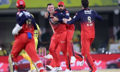 Josh Hazlewood Ipl Wicket Celebration