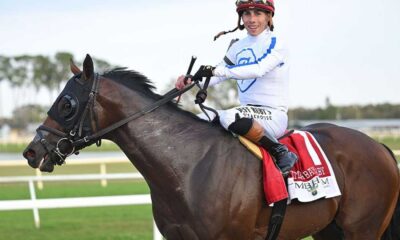 Kentucky Derby 2025 Horse Race