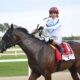 Kentucky Derby 2025 Horse Race