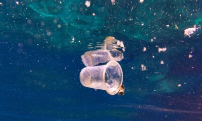 Microplastics In Ocean Depths