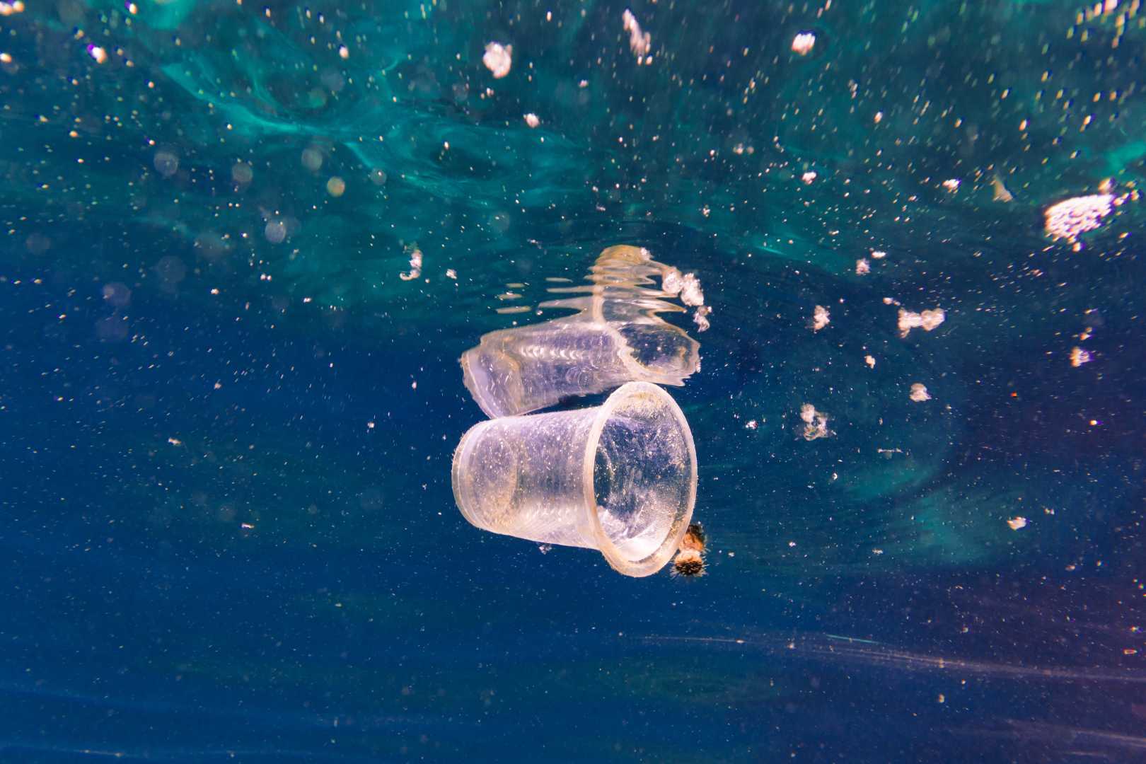 Microplastics In Ocean Depths