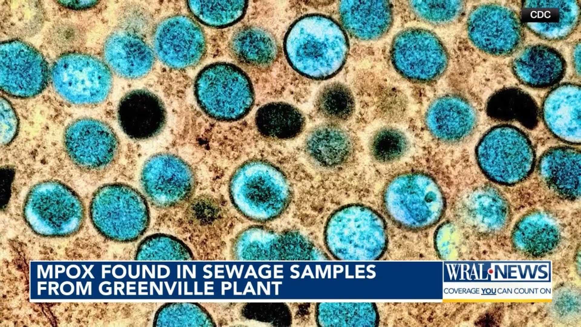 Mpox Virus Wastewater Testing Greenville