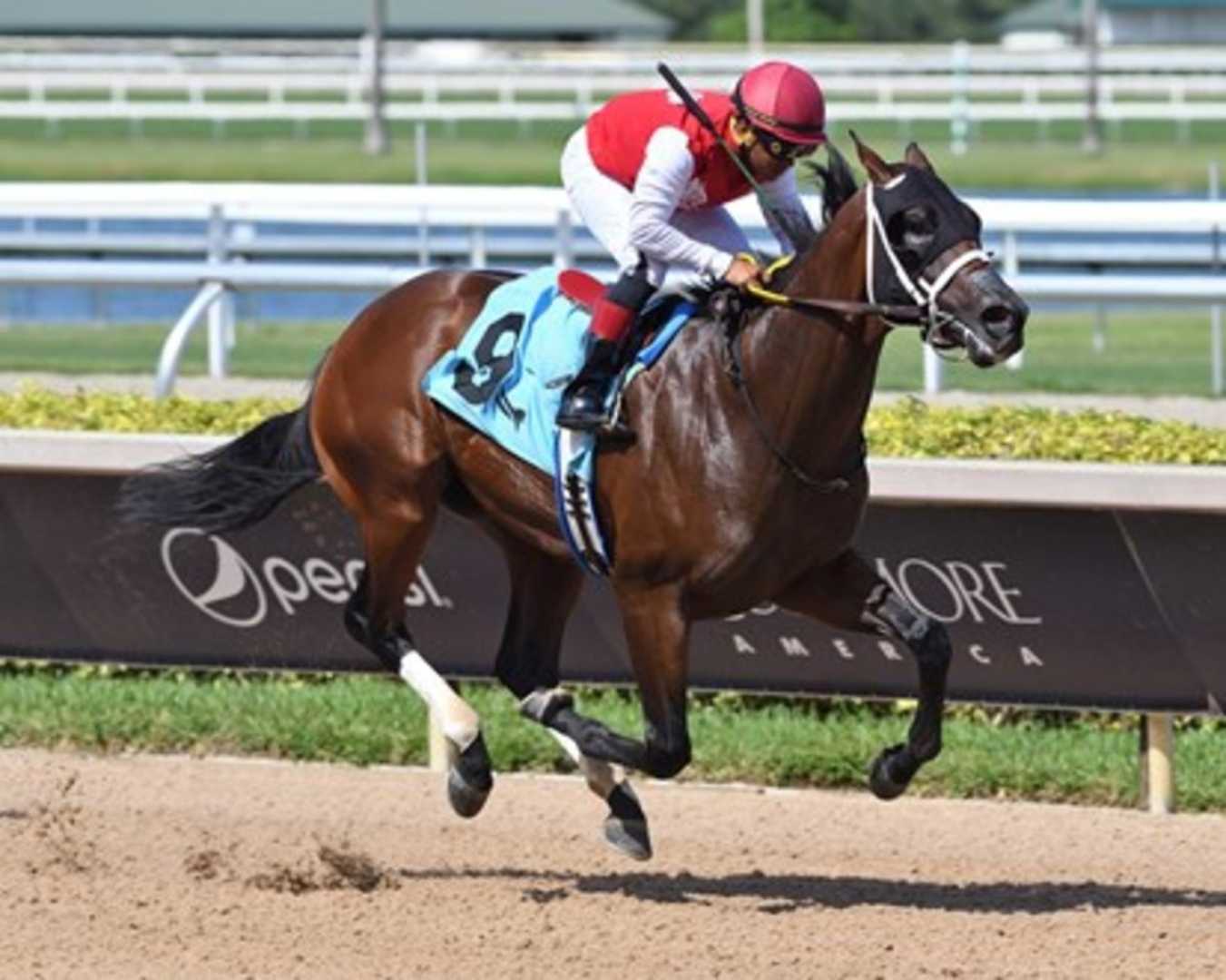 Neoequos Horse Training Gulfstream Park