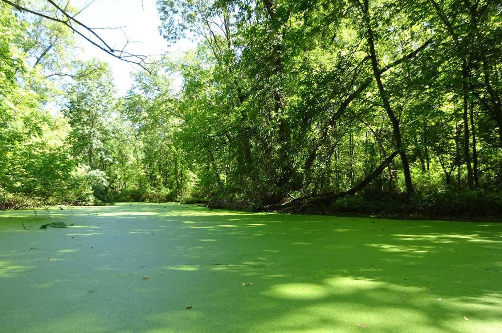 Princeton University Campus, Lake Carnegie Search Efforts