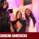 South Carolina Gamecocks Wnba Draft