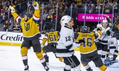 Tomas Hertl Golden Knights Gameplay Action