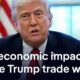 Trump Tariffs Economic Concerns