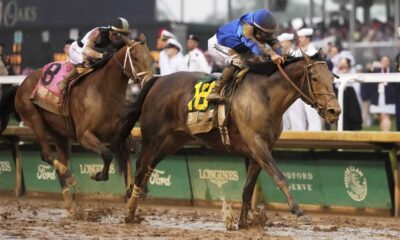 151st Kentucky Derby Race Horses