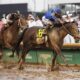151st Kentucky Derby Race Horses