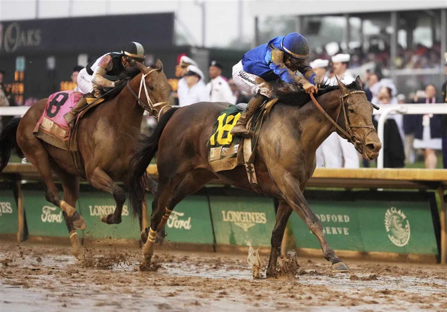 151st Kentucky Derby Race Horses