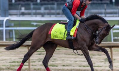 2025 Kentucky Derby Horses At Churchill Downs