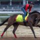 2025 Kentucky Derby Horses At Churchill Downs