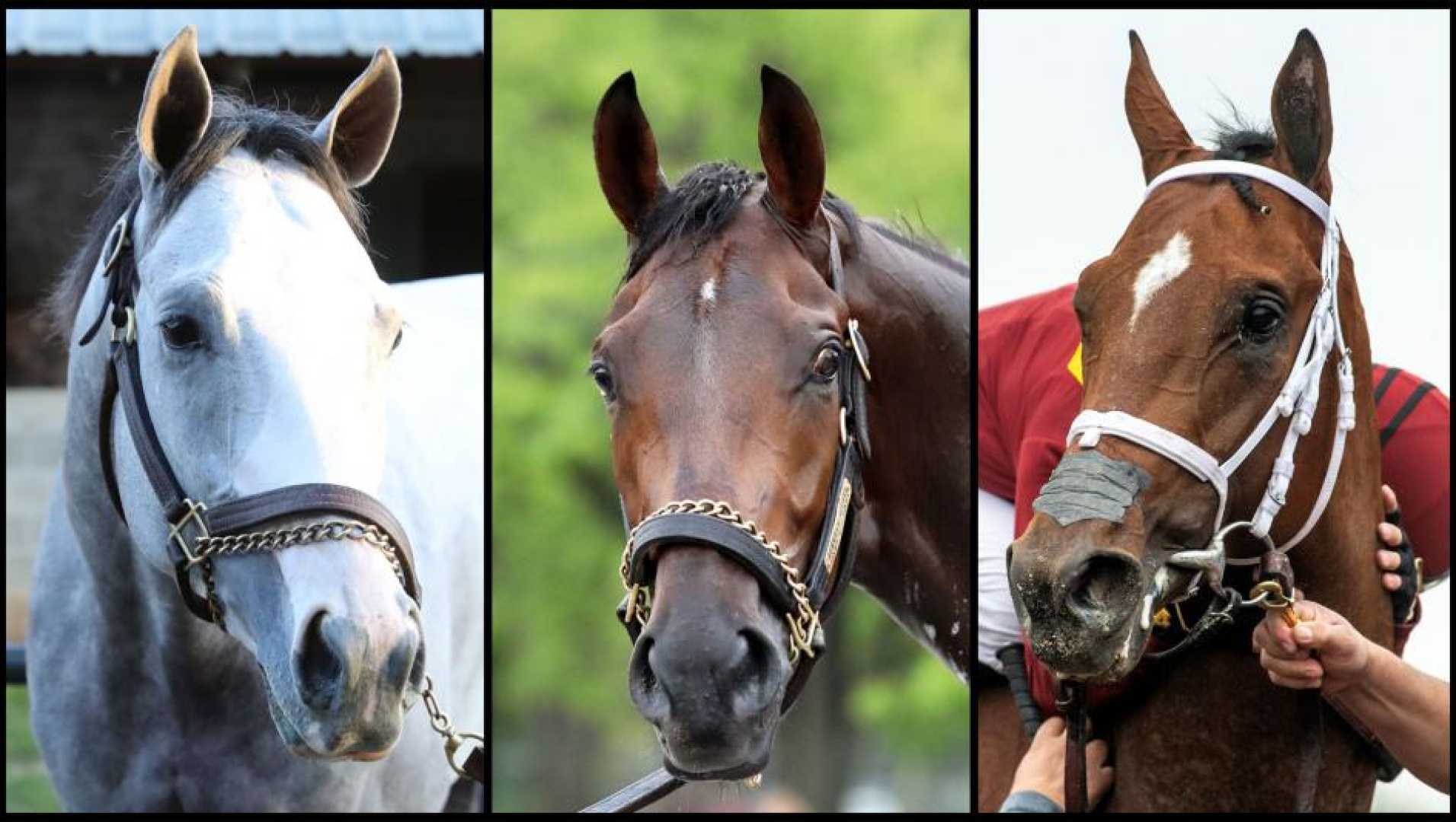 2025 Kentucky Derby Horses Competing
