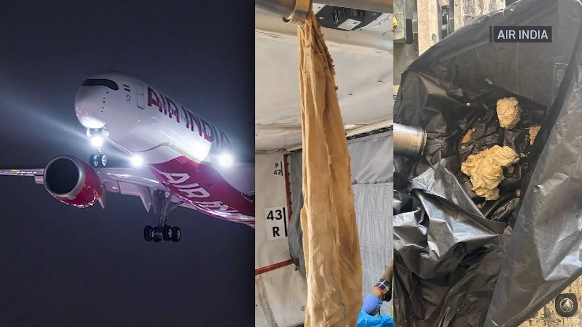 Air India Flight With Clogged Toilets