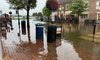 Alexandria Flooding News