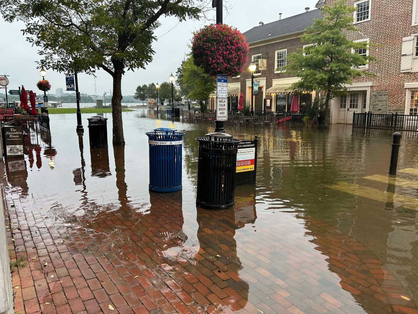 Alexandria Flooding News