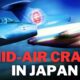 All Nippon Airways Flight Incident