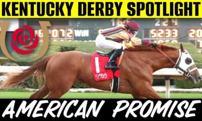 American Promise Thoroughbred Racehorse Kentucky Derby 2025