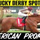 American Promise Thoroughbred Racehorse Kentucky Derby 2025