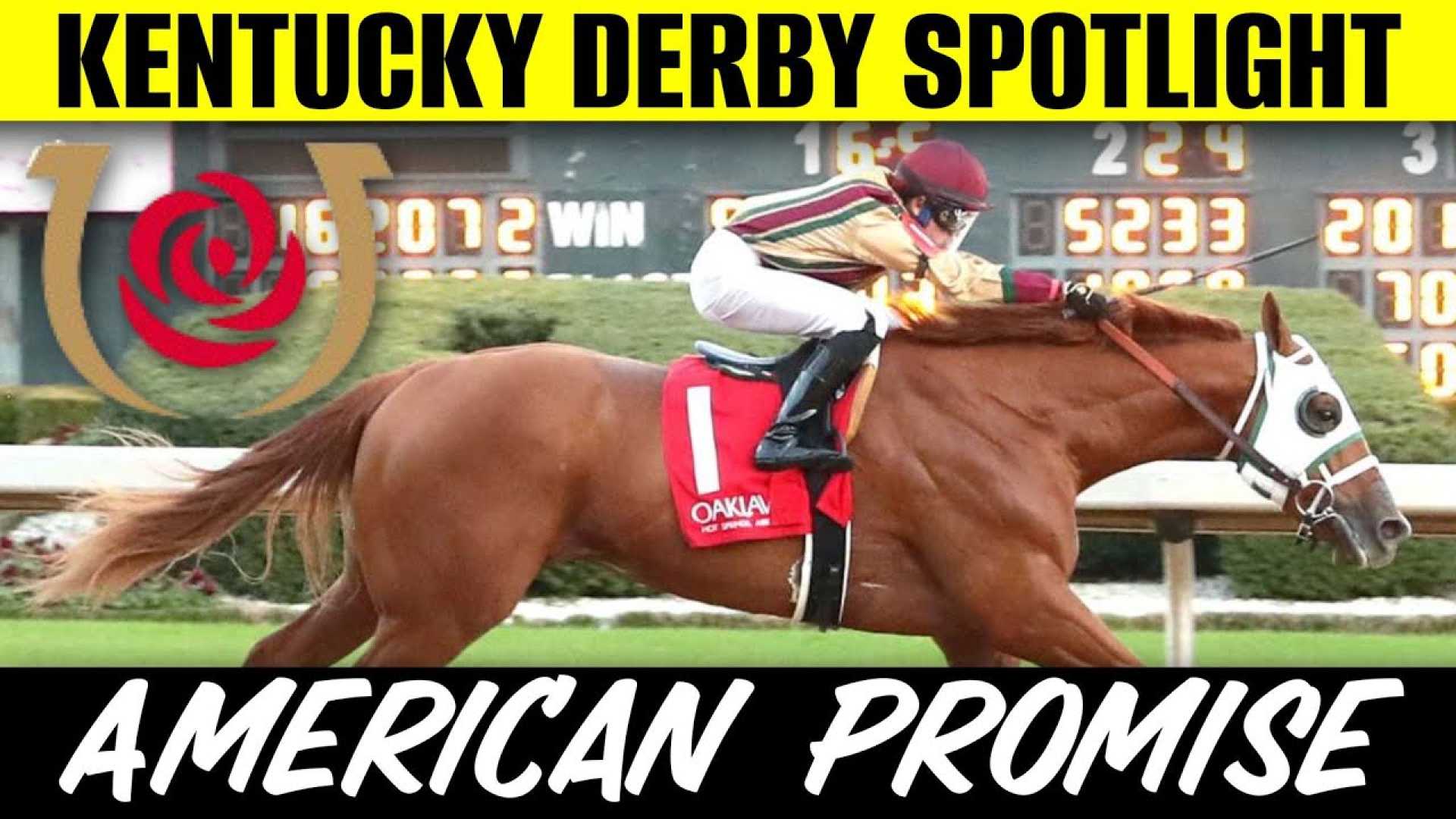 American Promise Thoroughbred Racehorse Kentucky Derby 2025
