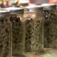 Anoka Cannabis Dispensary Groundbreaking