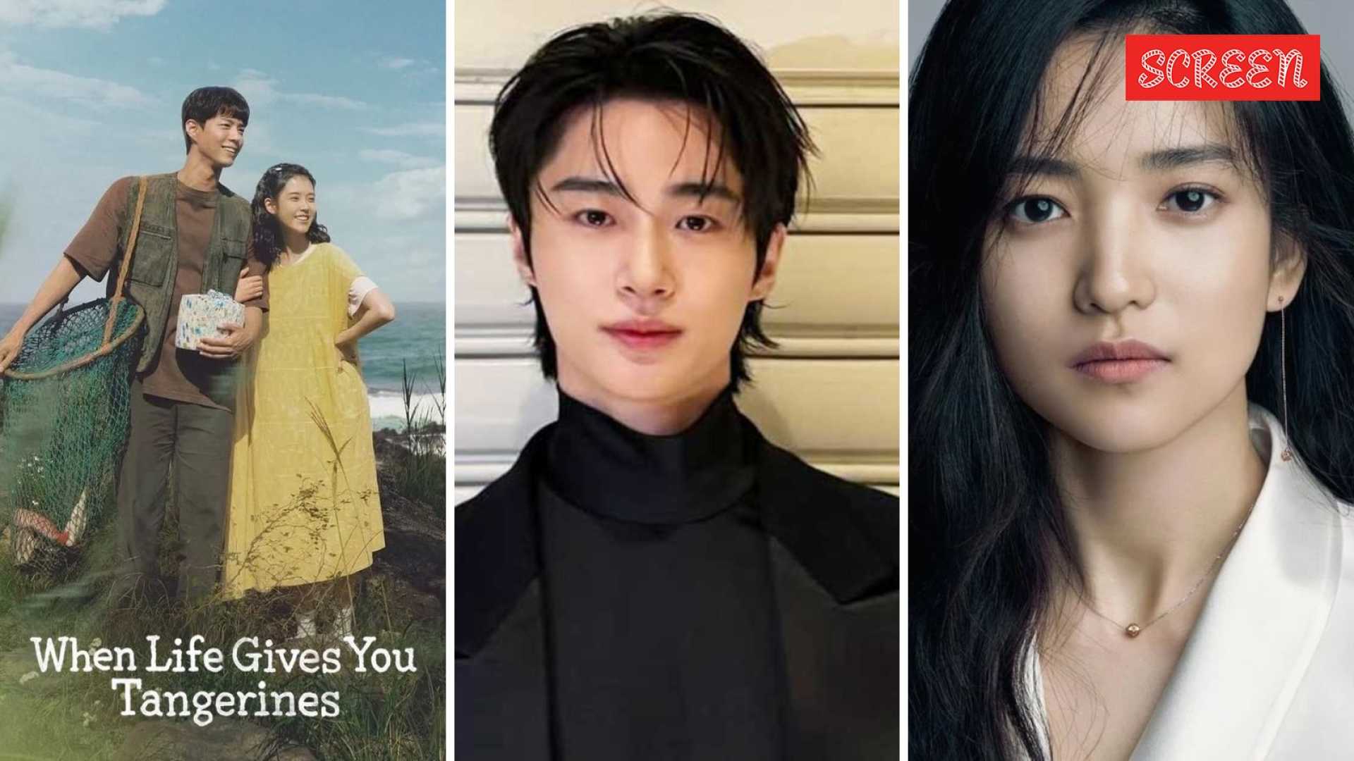 Baeksang Arts Awards 2025 Winners
