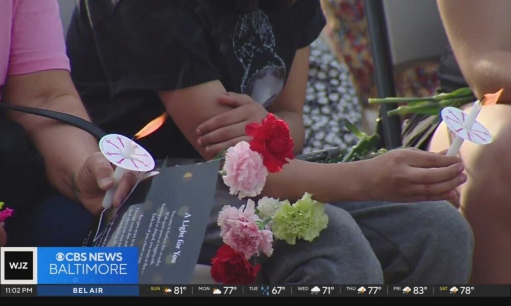 Vigil Held for Pet Owners Scammed by Crematorium