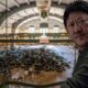 Benedict Wong Ridley Scott The Dog Stars Casting