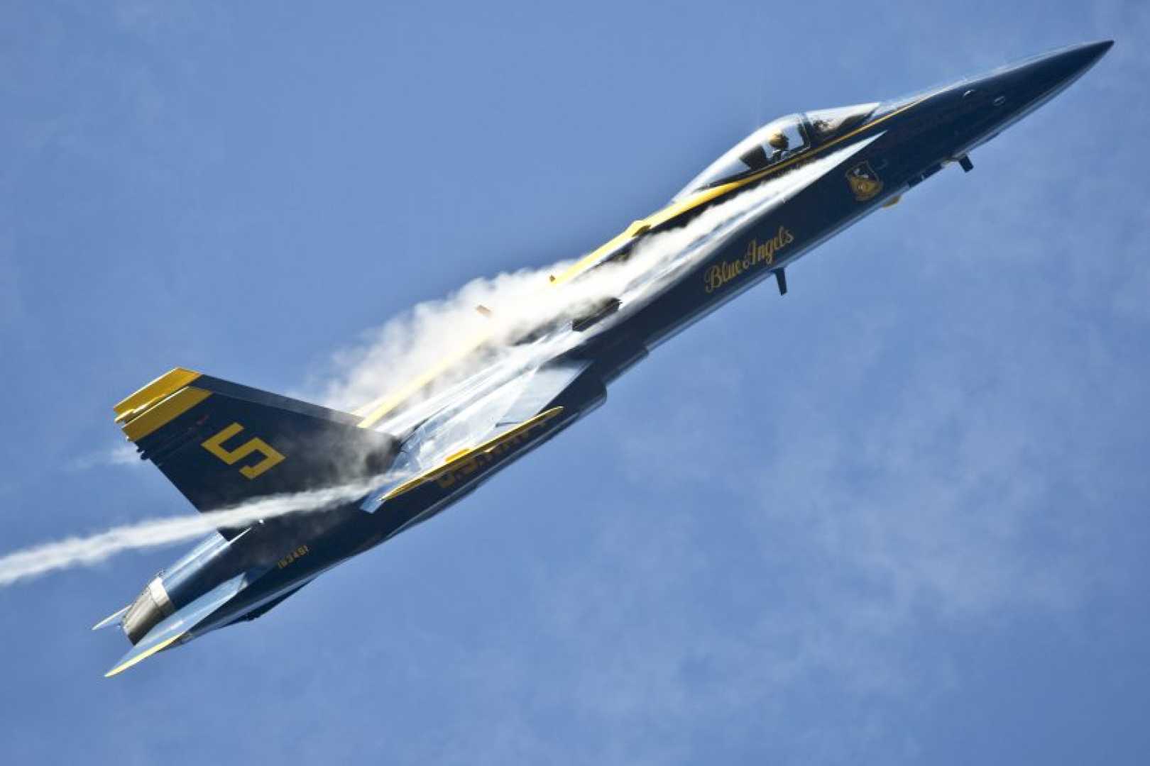 Blue Angels Aerial Acrobatics Performance