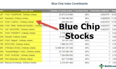 Blue Chip Stocks Investment Market Performance