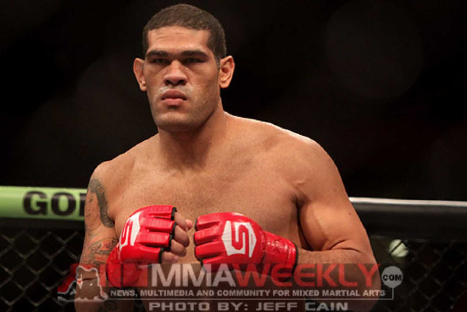 Brazilian Fighter Silva Mma