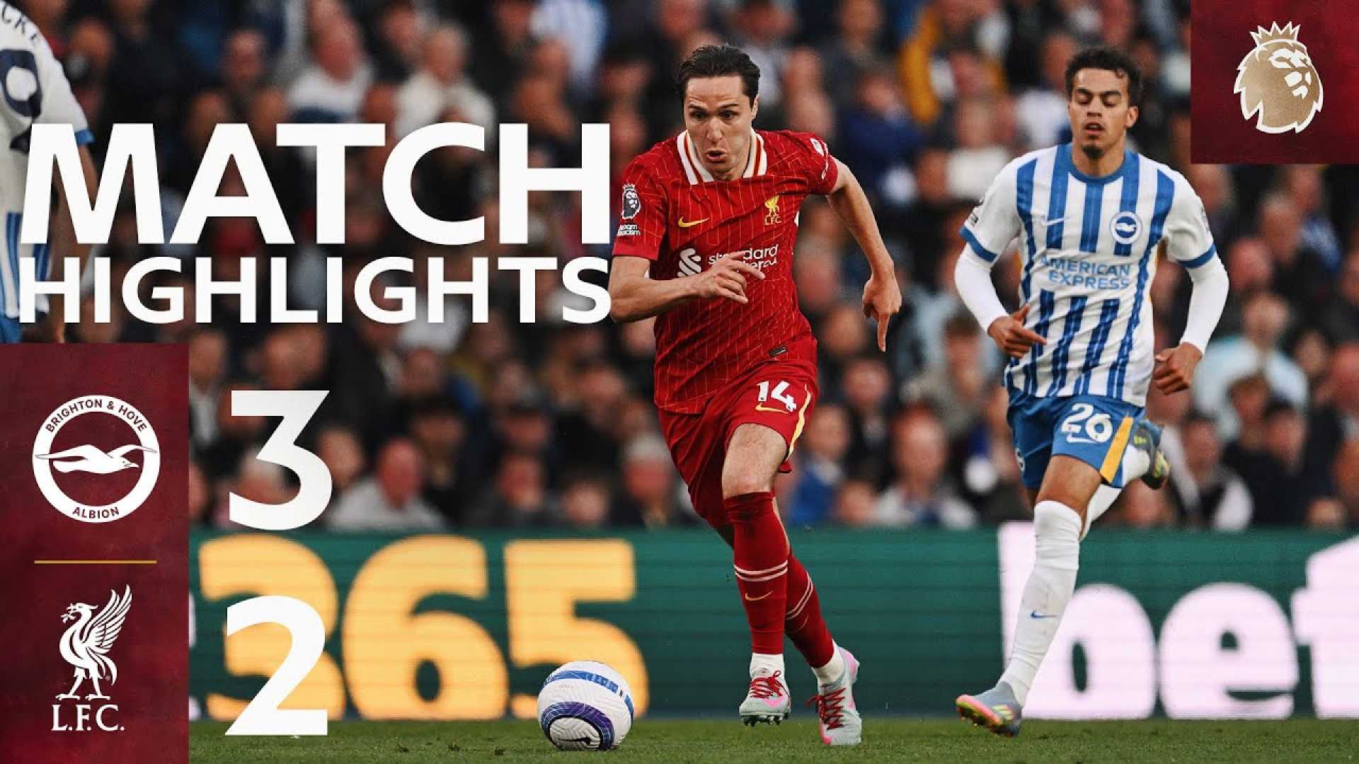 Brighton Liverpool Premier League Match Highlights