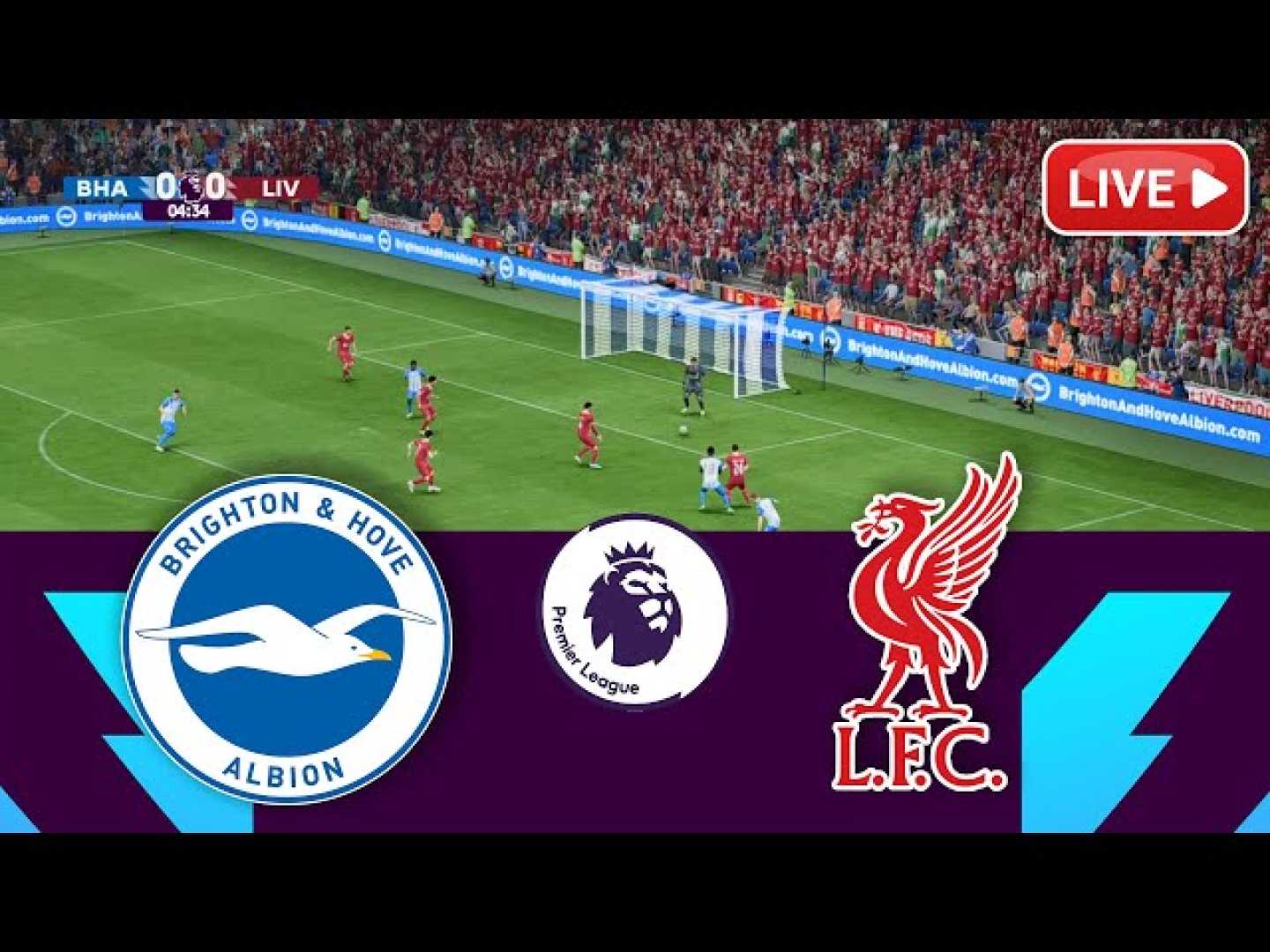 Brighton Liverpool Premier League Match
