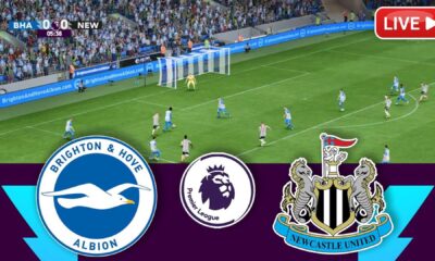 Brighton Vs Newcastle Premier League Match