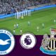 Brighton Vs Newcastle Premier League Match