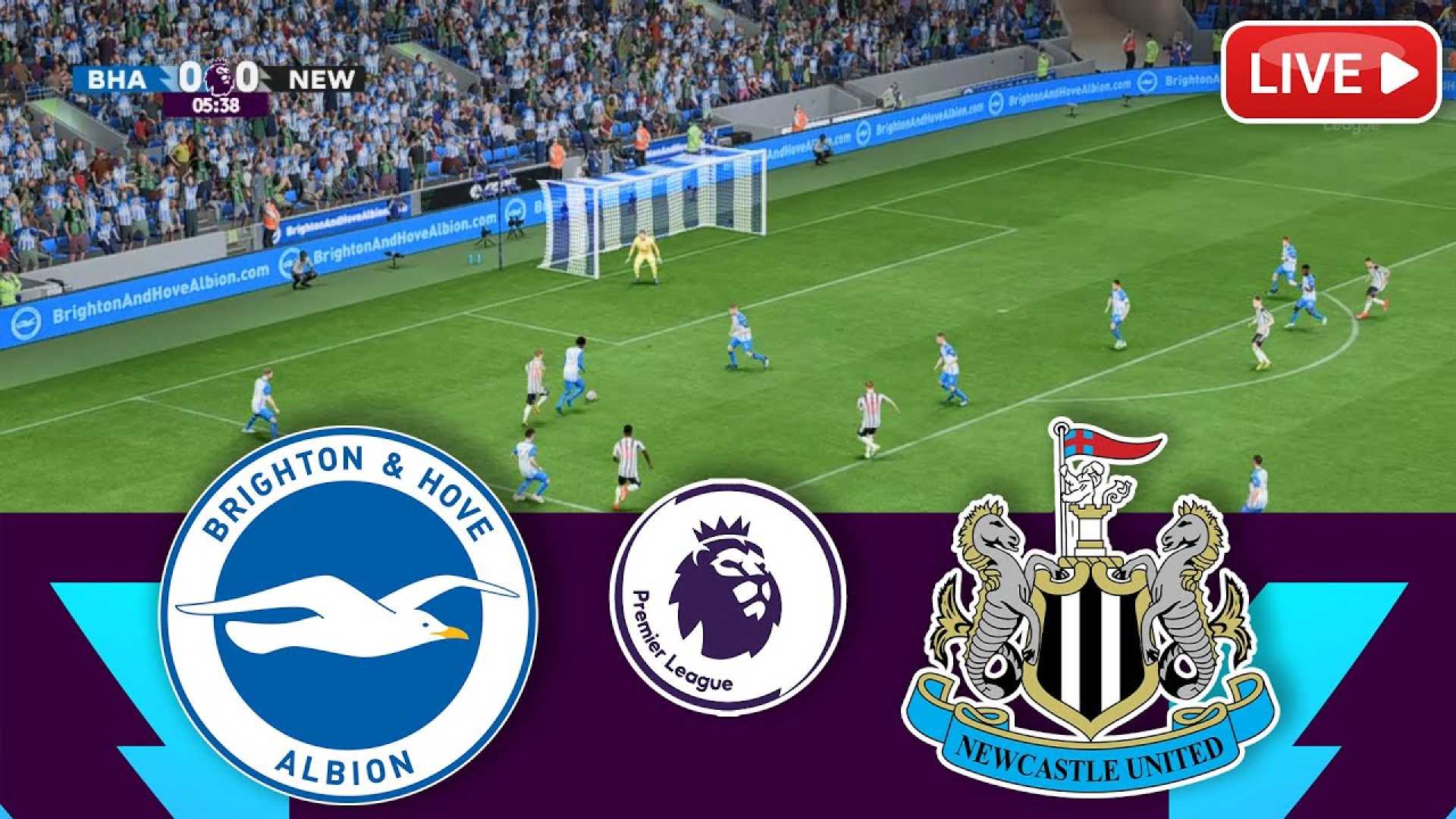 Brighton Vs Newcastle Premier League Match