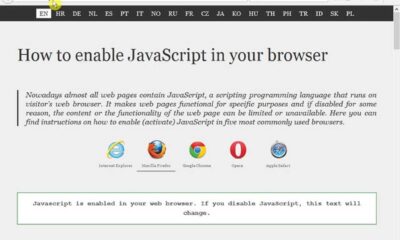 Browser Issues Javascript Instructions Help