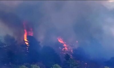 Brush Fire Joint Base Cape Cod