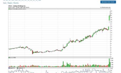 Celsius Holdings Financial Results