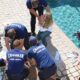 Chandler Az Pool Drowning