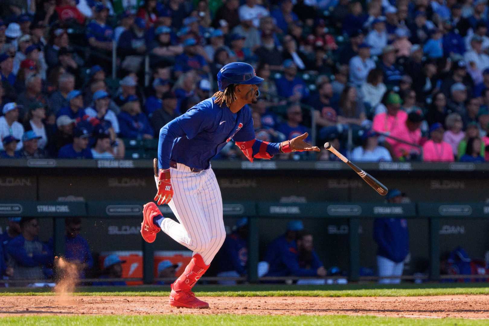 Chicago Cubs Emerging Stars Baseball