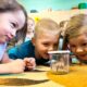 Child Care Affordability Increase Report