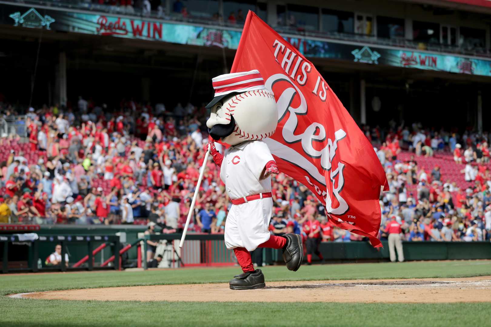 Cincinnati Reds Baseball Team