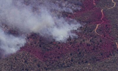 Cody Fire Oracle Arizona Aftermath