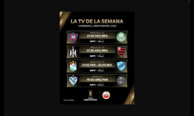 Copa Libertadores 2025 Teams And Matches