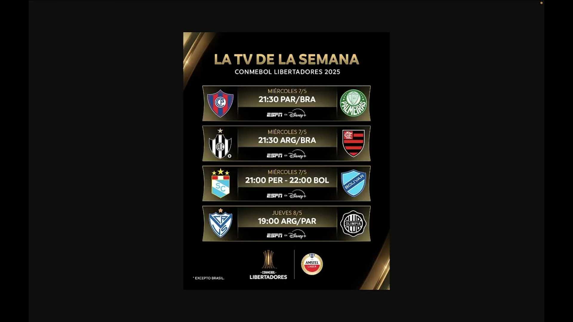 Copa Libertadores 2025 Teams And Matches