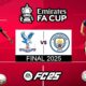 Crystal Palace Fa Cup Final 2025