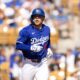 Dalton Rushing Catching Prospect Los Angeles Dodgers